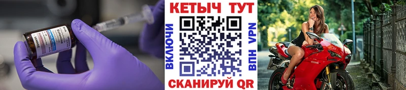 MEGA ссылка  Пошехонье  Кетамин VHQ  купить наркотик 