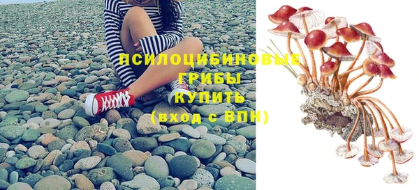 каннабис Новозыбков