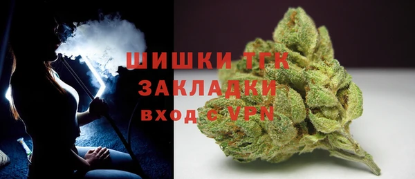 каннабис Новозыбков