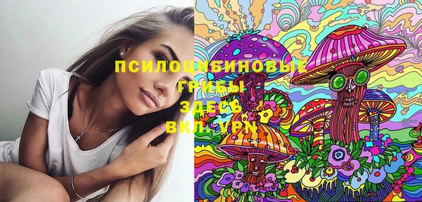 ПСИЛОЦИБИНОВЫЕ ГРИБЫ Новодвинск