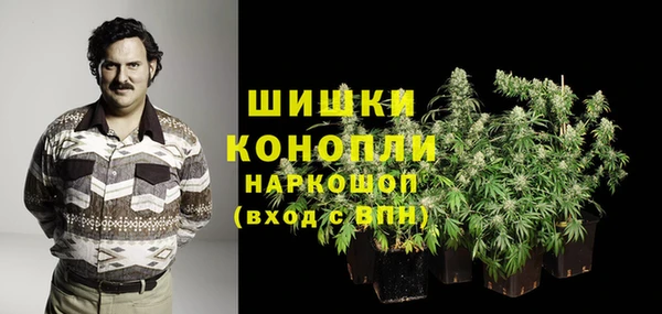 дмт Нягань