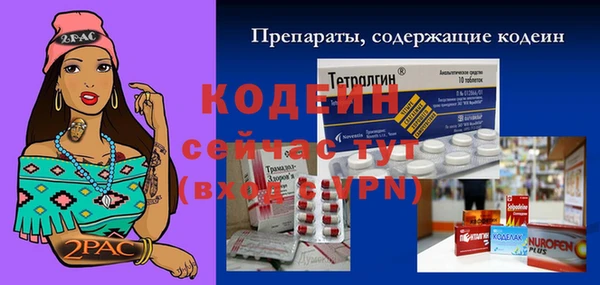 ПСИЛОЦИБИНОВЫЕ ГРИБЫ Новодвинск