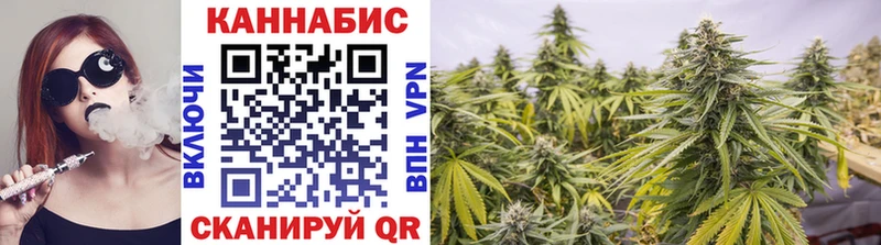 Бошки марихуана Bruce Banner  Пошехонье 